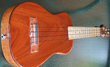 Ukulele Solid Body de Kevin Crossett